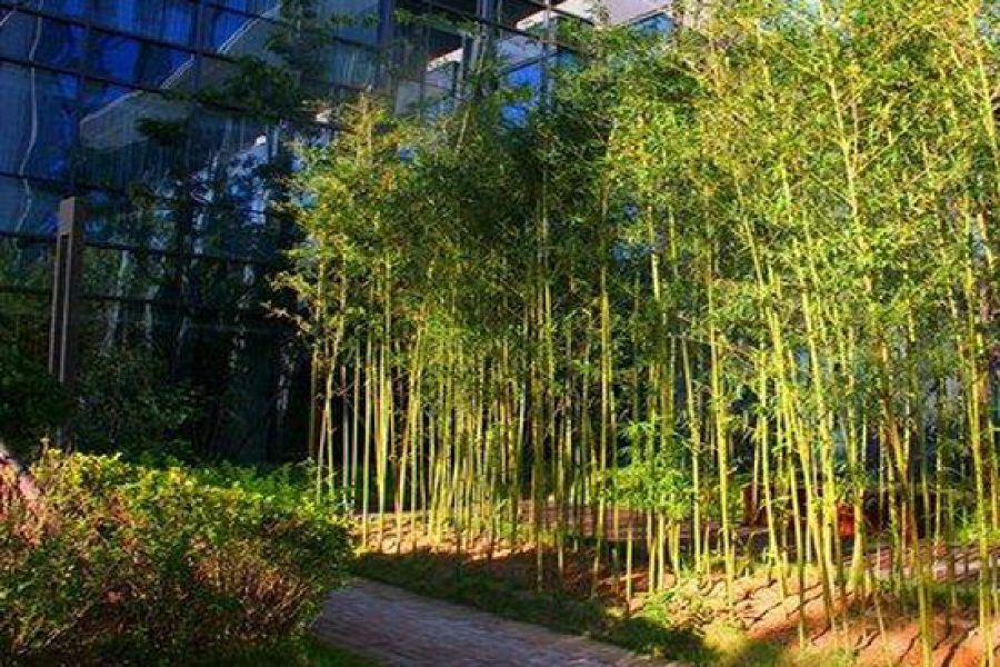 Zhongjian Yanqi Lake View Hotel Pekín Exterior foto